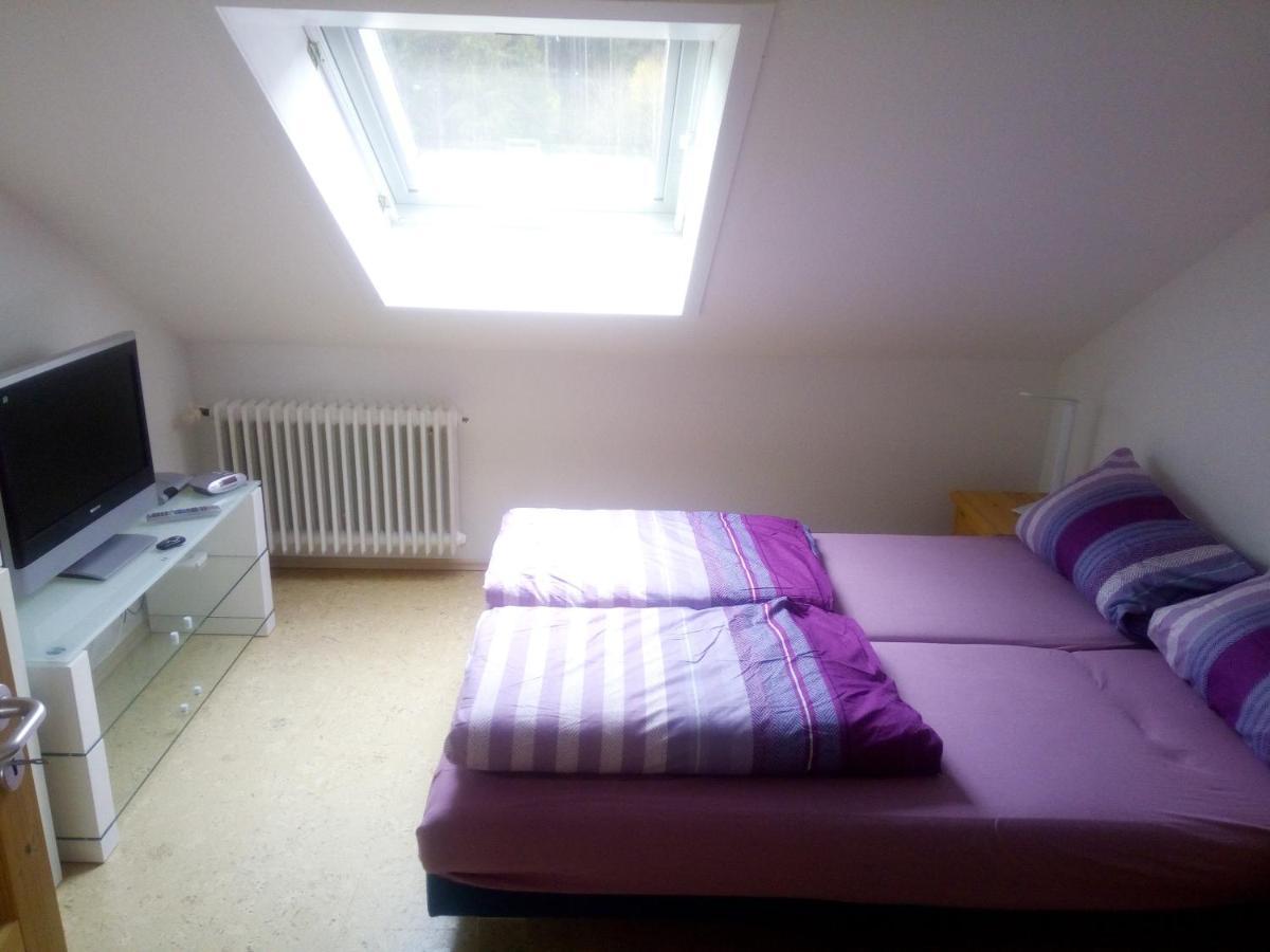 Ferienwohnung Waldrast Lenzkirch Exteriér fotografie