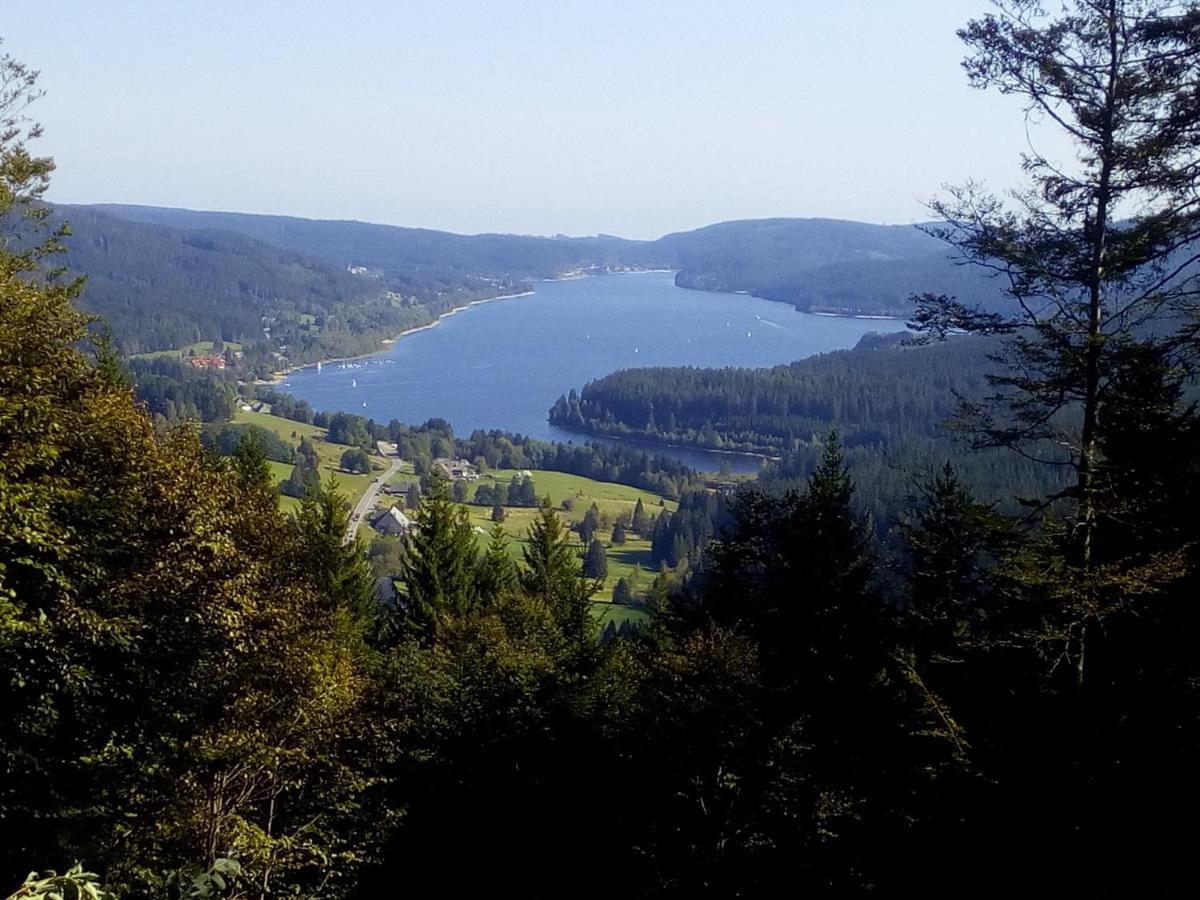 Ferienwohnung Waldrast Lenzkirch Exteriér fotografie