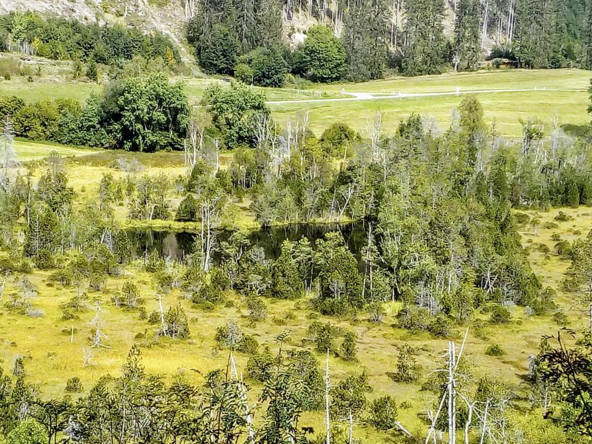 Ferienwohnung Waldrast Lenzkirch Exteriér fotografie