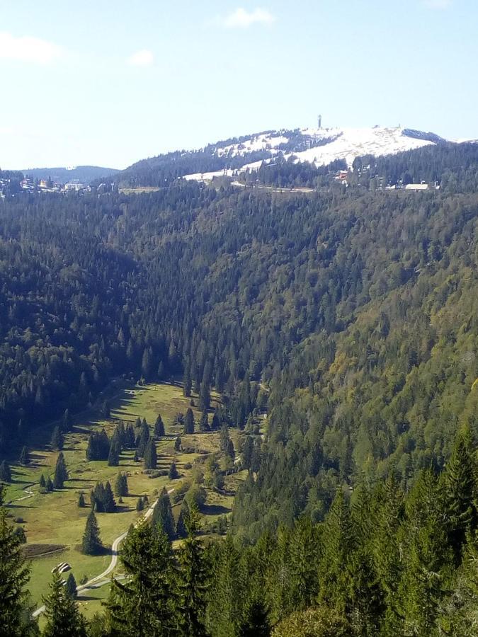 Ferienwohnung Waldrast Lenzkirch Exteriér fotografie