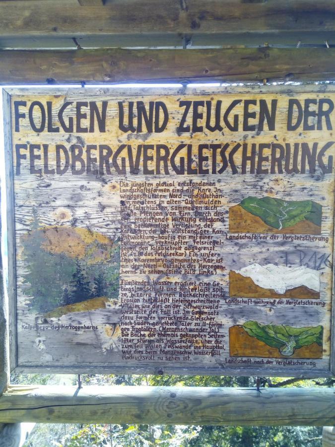 Ferienwohnung Waldrast Lenzkirch Exteriér fotografie